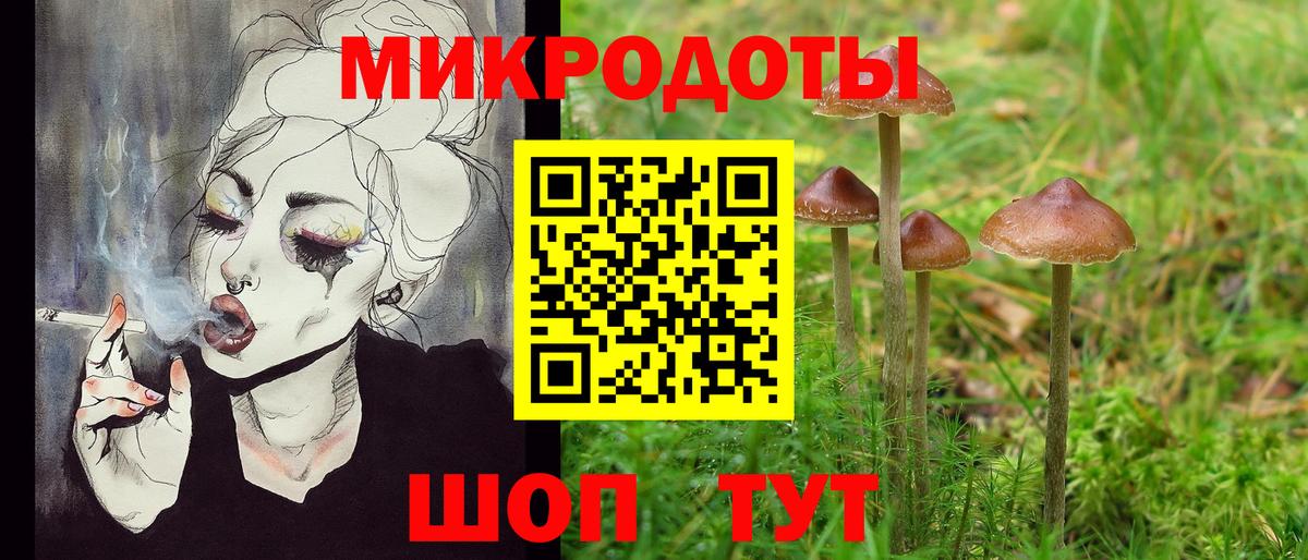 Псилоцибиновые грибы Psilocybe  Вход с VPN  Химки 